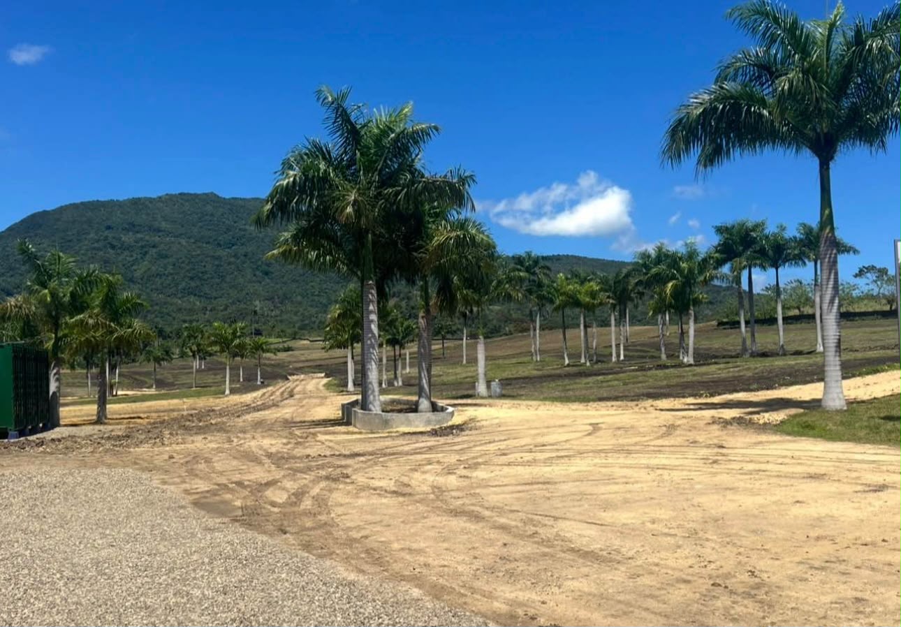 colinas del valle puerto plata